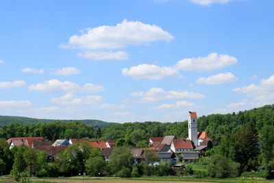 IMG_3515.JPG
