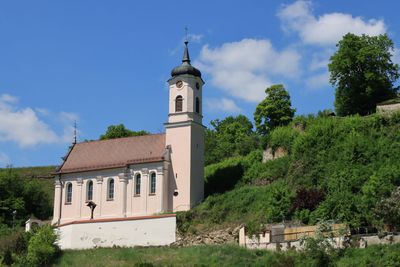 IMG_3518.JPG