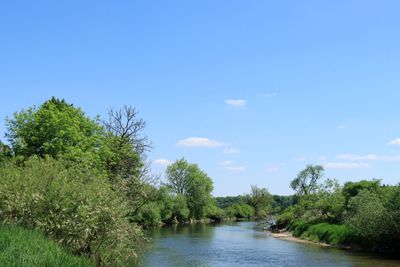 IMG_3524.JPG