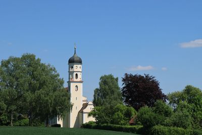 IMG_3526.JPG