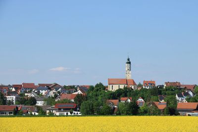 IMG_3532.JPG