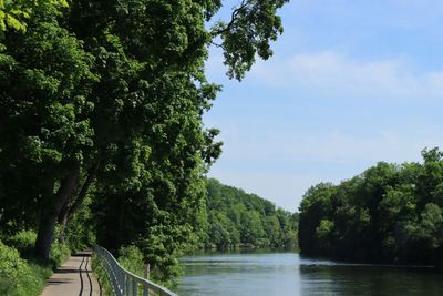 IMG_3536.JPG