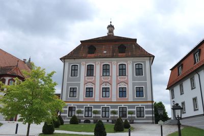 IMG_3567.JPG