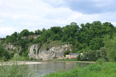 IMG_3605.JPG