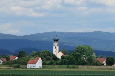 IMG_3659.JPG
