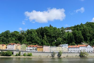 IMG_3706.JPG