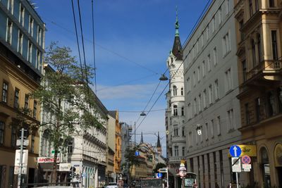IMG_3907.JPG