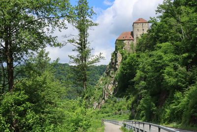 IMG_3748.JPG