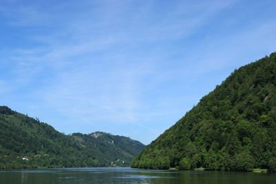 IMG_3767.JPG