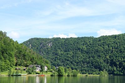 IMG_3768.JPG