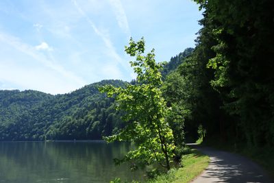 IMG_3773.JPG