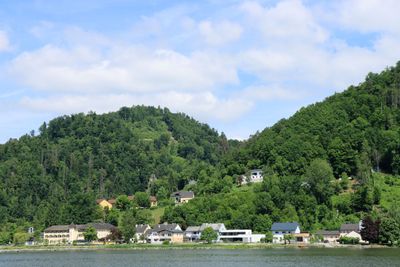 IMG_3780.JPG