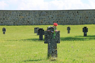 IMG_3822.JPG