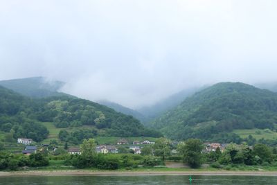 IMG_3868.JPG