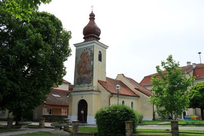IMG_3884.JPG