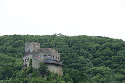 IMG_3889.JPG