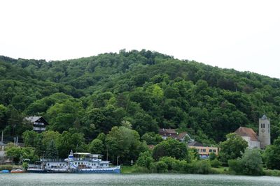 IMG_3890.JPG