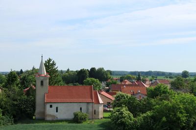 IMG_4272.JPG