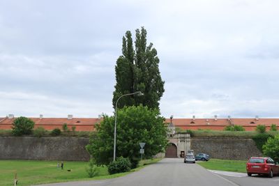IMG_4319.JPG