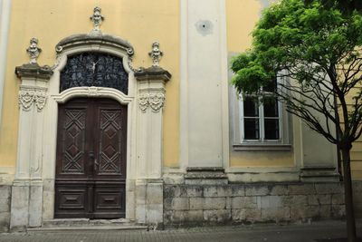 IMG_4323.JPG
