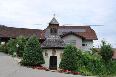 IMG_6856.JPG