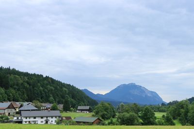 IMG_6868.JPG