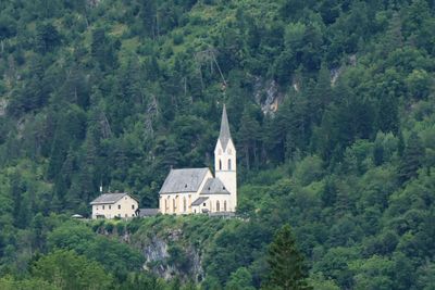 IMG_6870.JPG