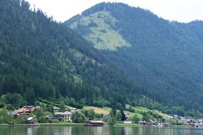 IMG_6878.JPG