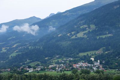 IMG_6896.JPG