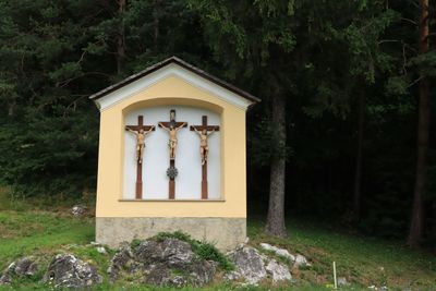 IMG_6905.JPG