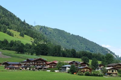 IMG_6952.JPG