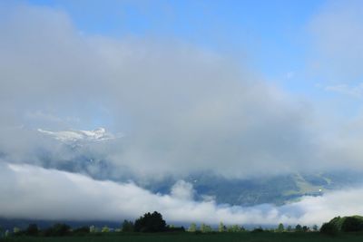 IMG_6956.JPG