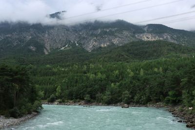 IMG_7030.JPG
