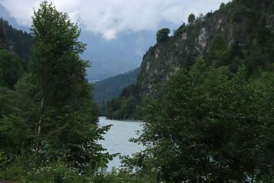 IMG_7032.JPG