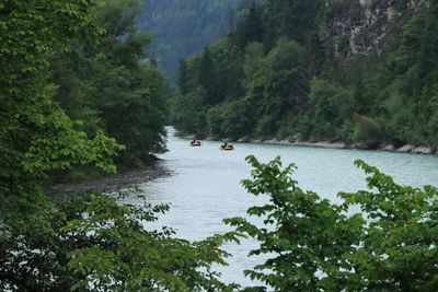 IMG_7033.JPG