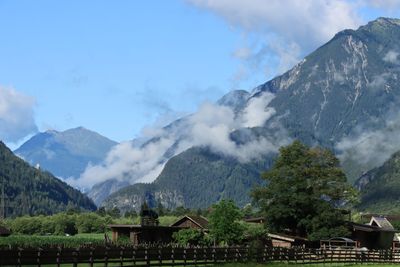 IMG_7046.JPG