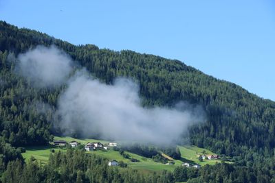 IMG_7050.JPG