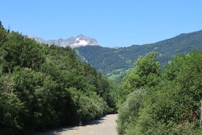 IMG_7057.JPG