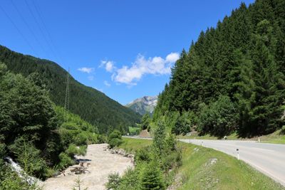 IMG_7062.JPG