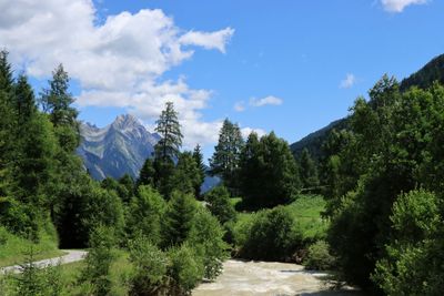 IMG_7066.JPG
