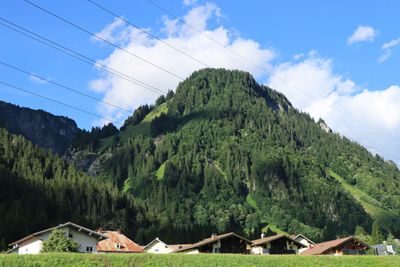 IMG_7070.JPG