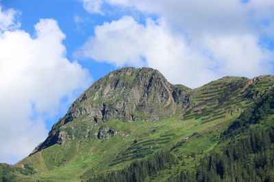 IMG_7071.JPG