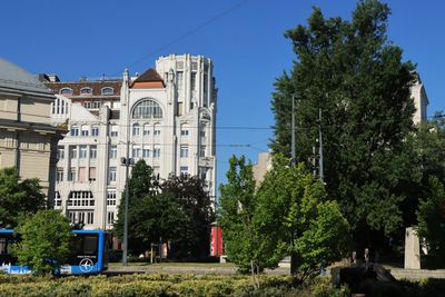IMG_4441.JPG