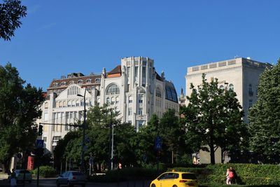 IMG_4445.JPG