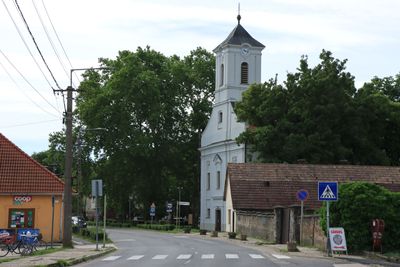 IMG_4384.JPG