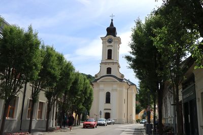 IMG_4389.JPG