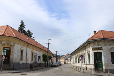 IMG_4390.JPG