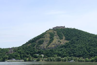 IMG_4396.JPG