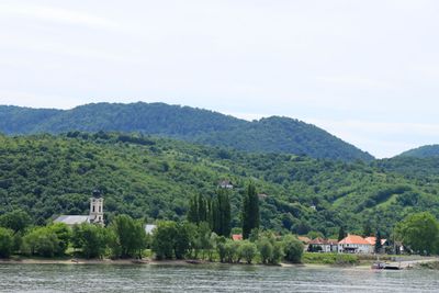 IMG_4399.JPG
