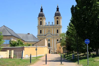 IMG_4650.JPG